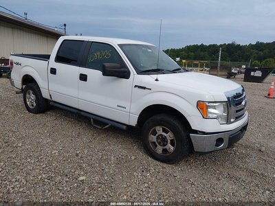 1FTFW1ET9BF****** 2011 Ford F-150