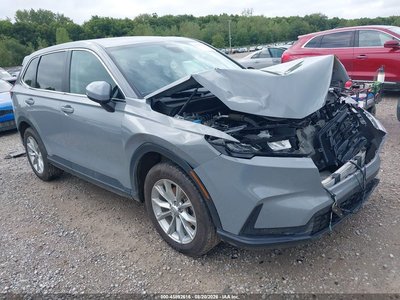 5J6RS4H72RL****** 2024 Honda CR-V