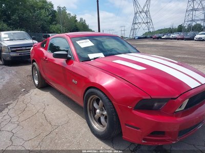 1ZVBP8AM8D5****** 2013 Ford Mustang