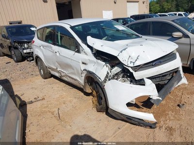 1FMCU0F76DU****** 2013 Ford Escape