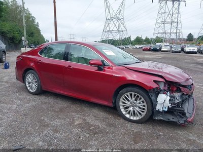 4T1F31AK8LU****** 2020 Toyota Camry