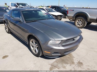 1ZVBP8AN6A5****** 2010 Ford Mustang