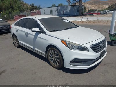 5NPE34AF1GH****** 2016 Hyundai Sonata