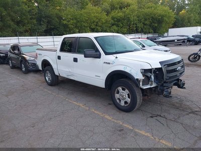 1FTFW1ET3DK****** 2013 Ford F-150