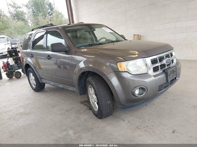2010 Ford Escape