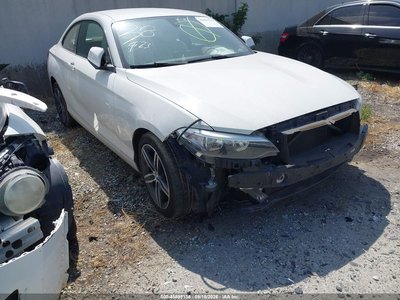 WBA2F9C37HV****** 2017 BMW 2 Series