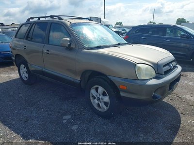 KM8SC13E36U****** 2006 Hyundai Santa Fe
