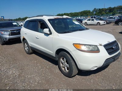 5NMSG13D17H****** 2007 Hyundai Santa Fe