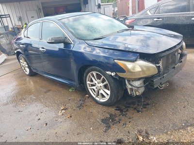 1N4AA5AP7BC****** 2011 Nissan Maxima