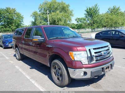 2010 Ford F-150
