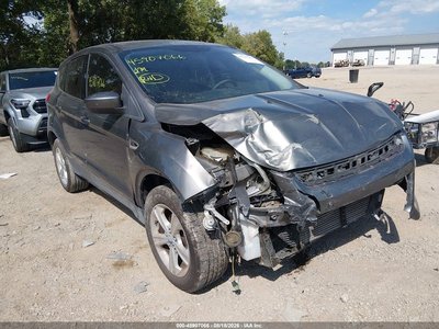 1FMCU0GX6DU****** 2013 Ford Escape