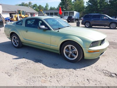 1ZVHT82H655****** 2005 Ford Mustang