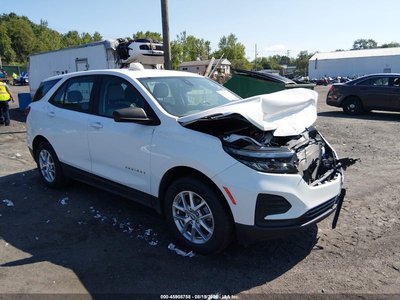 3GNAX5EG3RL****** 2024 Chevrolet Equinox