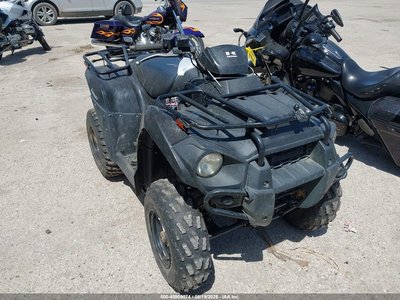 2020 Kawasaki Brute Force 300