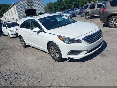 5NPE24AF5GH****** 2016 Hyundai Sonata