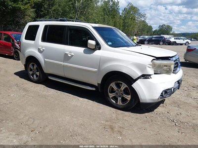 5FNYF4H44DB****** 2013 Honda Pilot