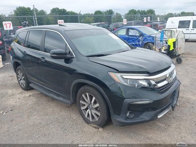 5FNYF6H59KB****** 2019 Honda Pilot