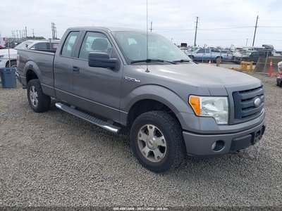 1FTRX14W59F****** 2009 Ford F-150