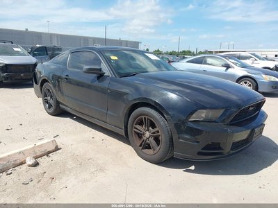 1ZVBP8AMXD5****** 2013 Ford Mustang