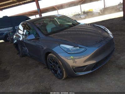 7SAYGDEE1PF****** 2023 Tesla Model Y