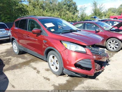 1FMCU0GX7EU****** 2014 Ford Escape