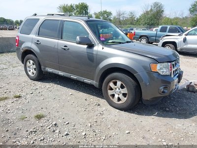 2011 Ford Escape