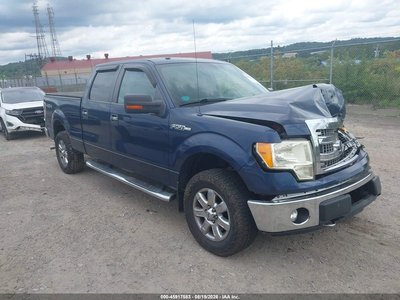 1FTFW1EF5DF****** 2013 Ford F-150