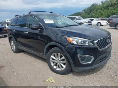 5XYPGDA55GG****** 2016 Kia Sorento