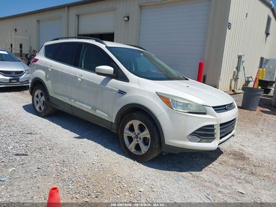 1FMCU0GX8EU****** 2014 Ford Escape