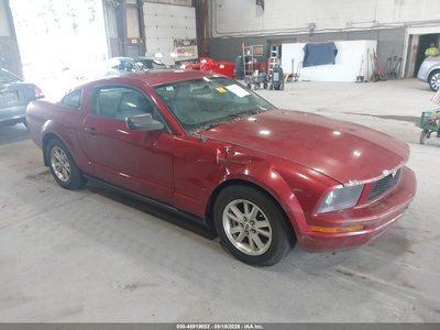 1ZVFT80N965****** 2006 Ford Mustang
