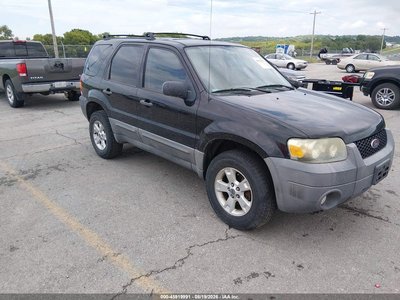 1FMYU03Z37K****** 2007 Ford Escape