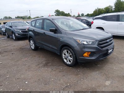 1FMCU0F77KU****** 2019 Ford Escape