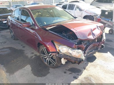 2010 Honda Accord