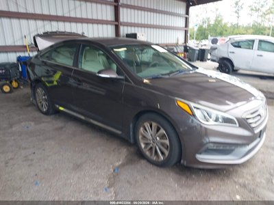 5NPE34AF4GH****** 2016 Hyundai Sonata