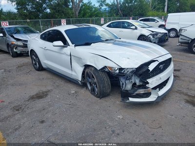 1FA6P8AM4G5****** 2016 Ford Mustang