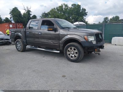 1FTPW14V69K****** 2009 Ford F-150