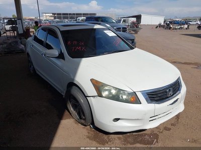 2010 Honda Accord