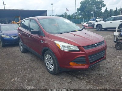 1FMCU0F72EU****** 2014 Ford Escape
