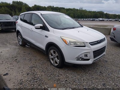 1FMCU0G91EU****** 2014 Ford Escape