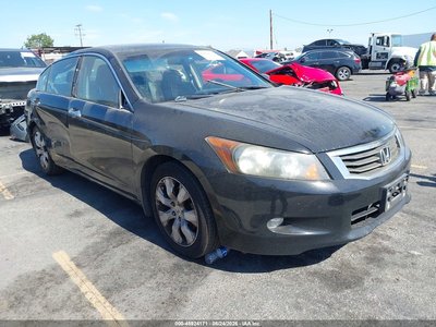 2010 Honda Accord
