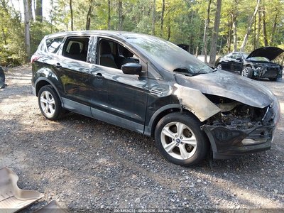1FMCU9GX0EU****** 2014 Ford Escape