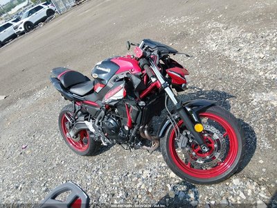 2024 Kawasaki Z650