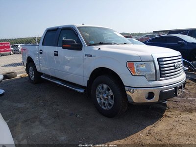 1FTFW1EV6AF****** 2010 Ford F-150