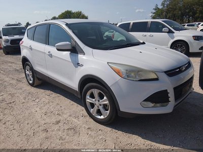 1FMCU0G99DU****** 2013 Ford Escape