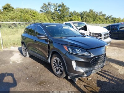 1FMCU0H64LU****** 2020 Ford Escape