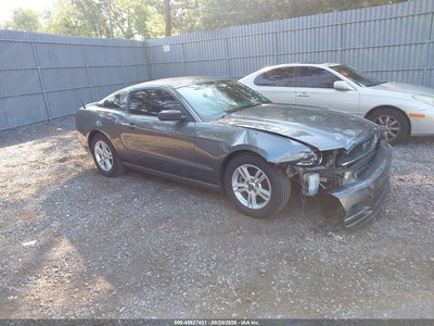 1ZVBP8AMXD5****** 2013 Ford Mustang