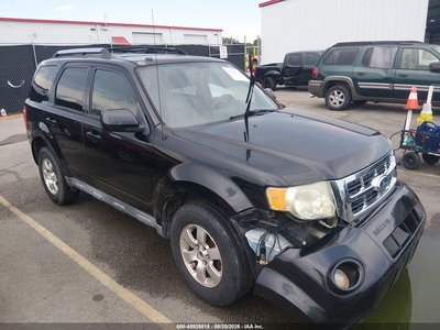 2010 Ford Escape