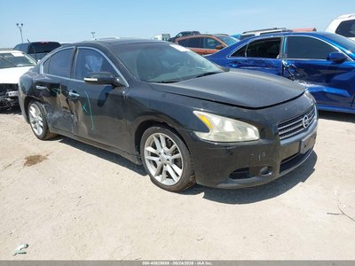 1N4AA5AP2AC****** 2010 Nissan Maxima