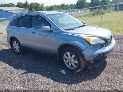 JHLRE48737C****** 2007 Honda CR-V
