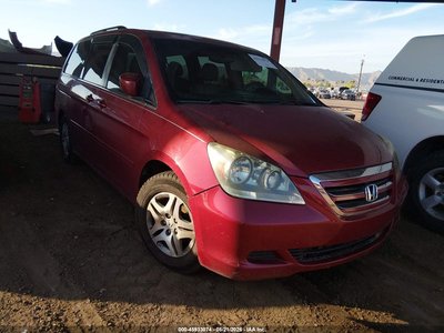 5FNRL38635B****** 2005 Honda Odyssey